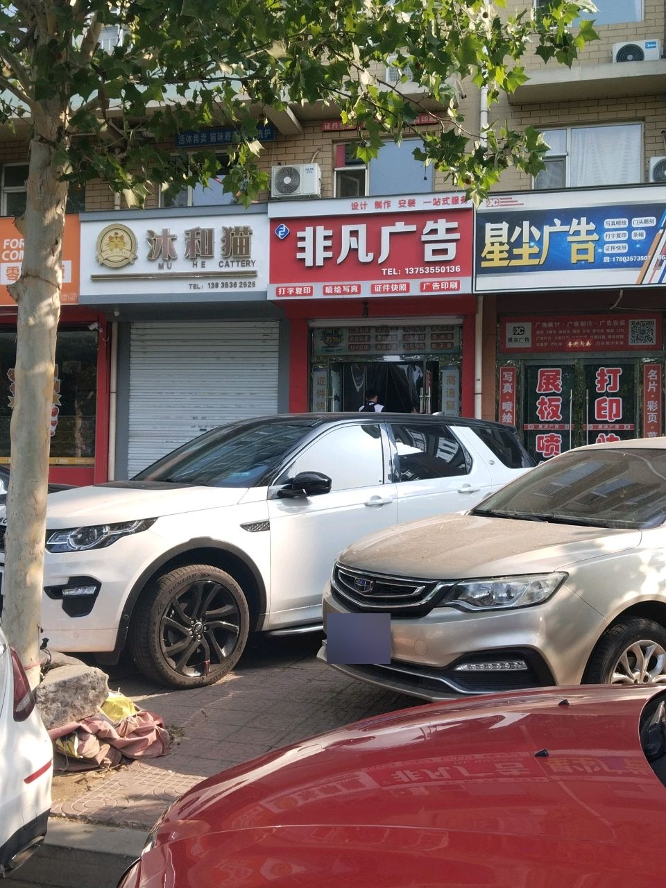 沐和猫