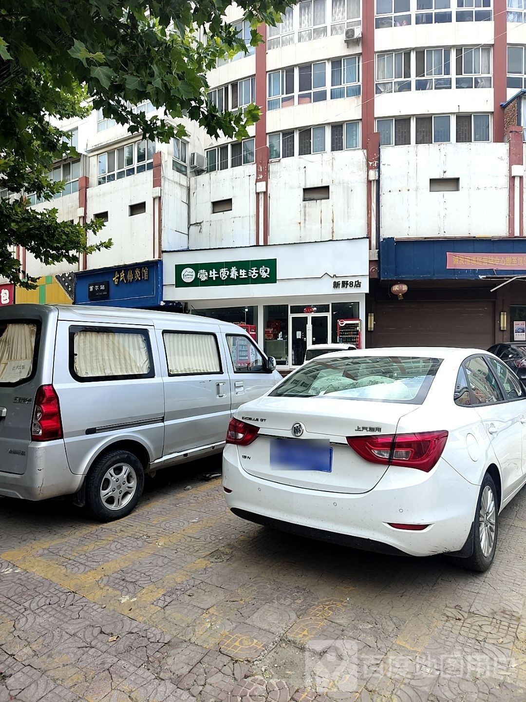 新野县蒙牛营养生活家(书院路店)