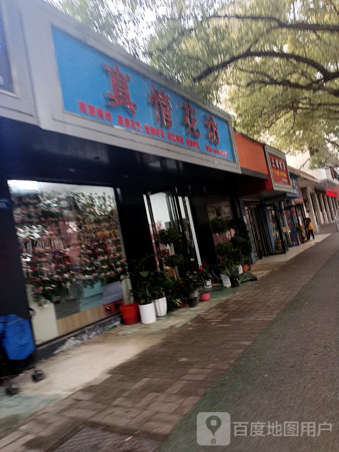 真情花坊(瑞州中路店)