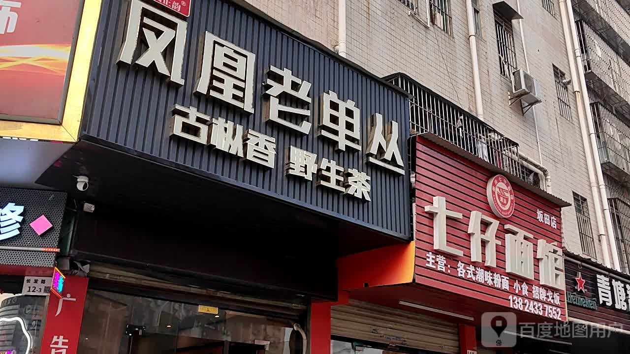 凤凰老单丛