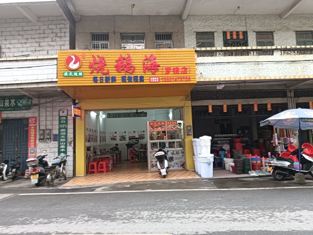 烧鹅海港式烧腊(罗镜店)