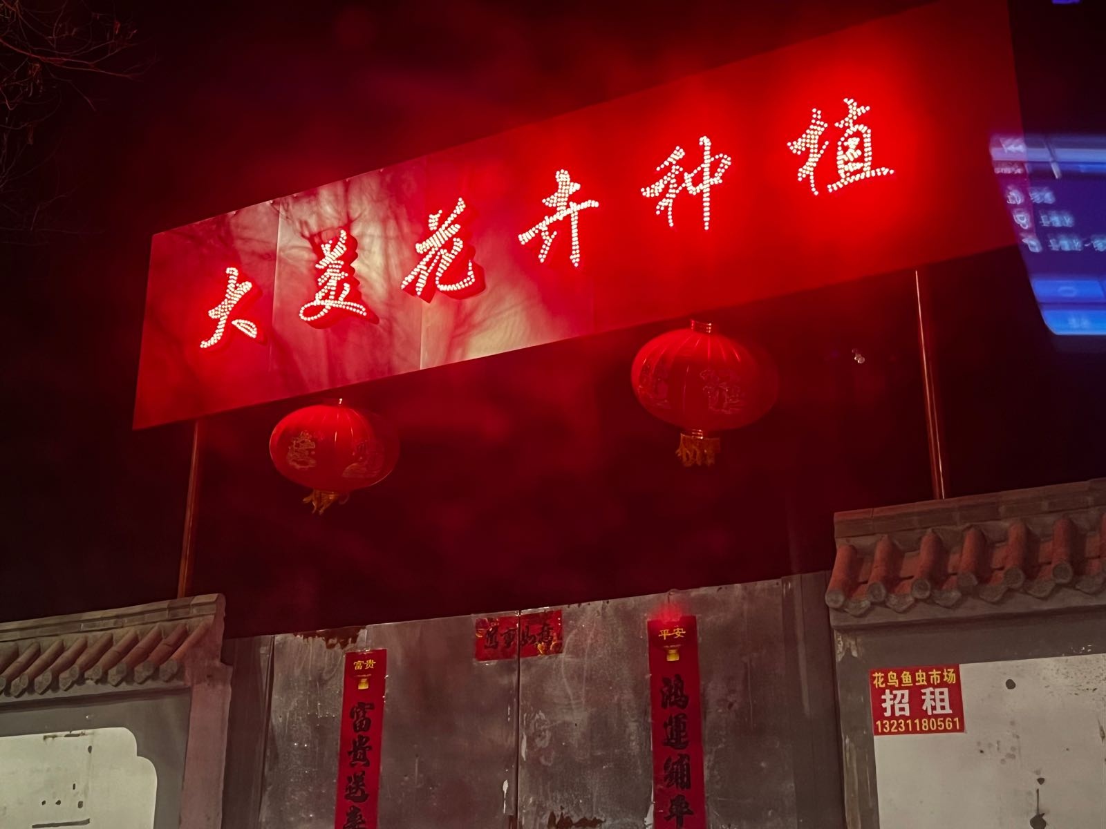 大美花卉种植
