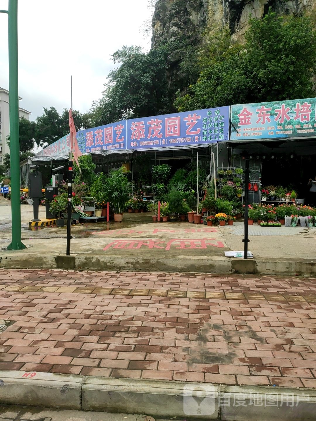 金东水培园艺