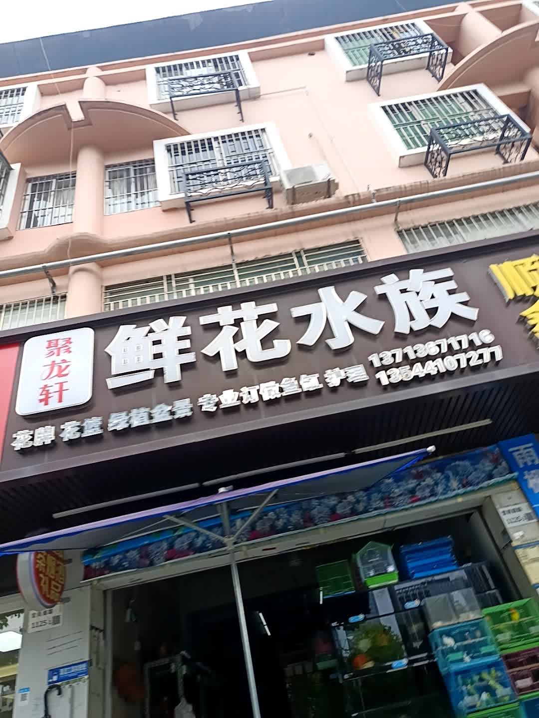 聚龙轩鲜花水族(万盛百货雪象店)