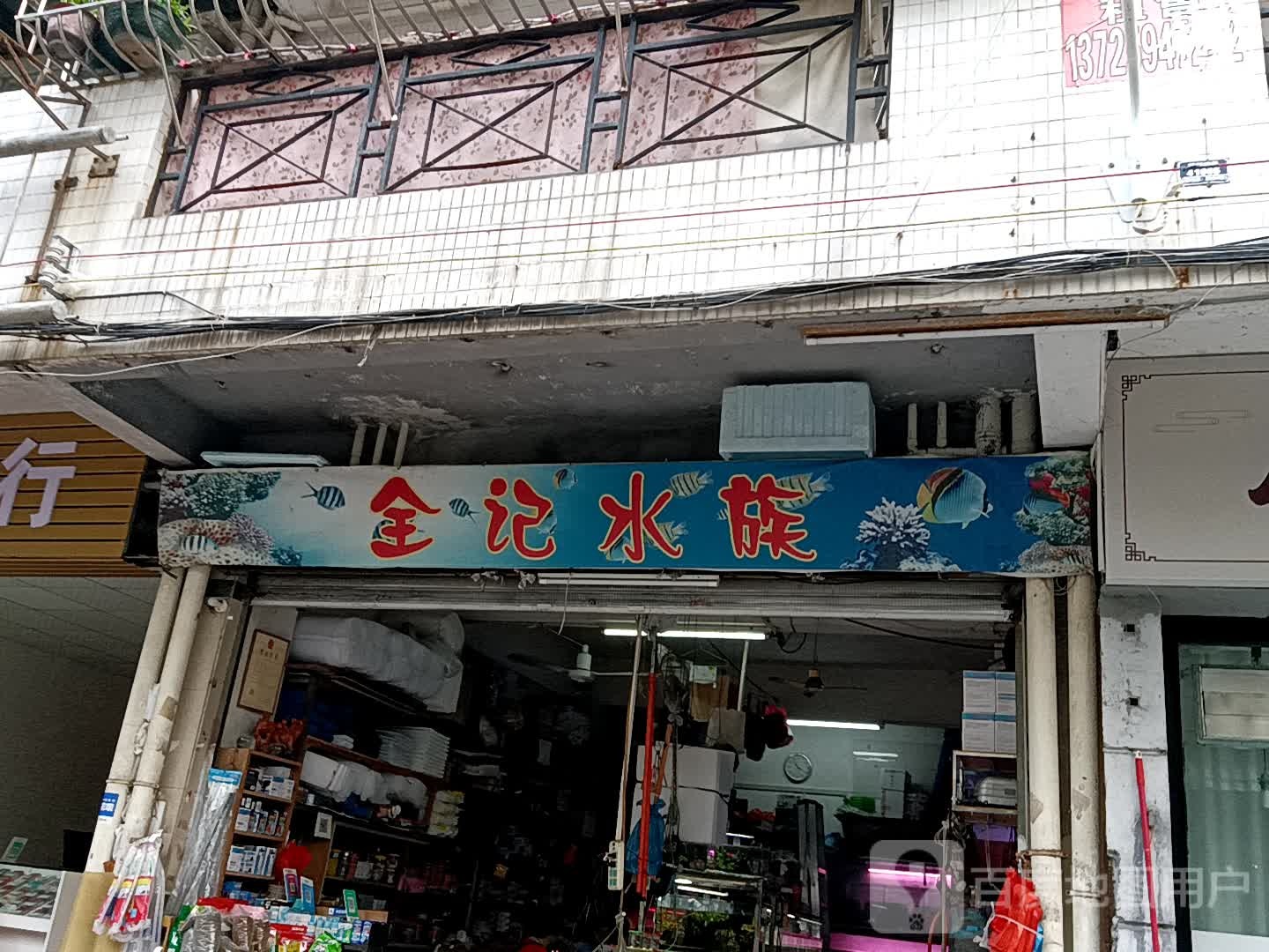 全记水族(地王广场店)