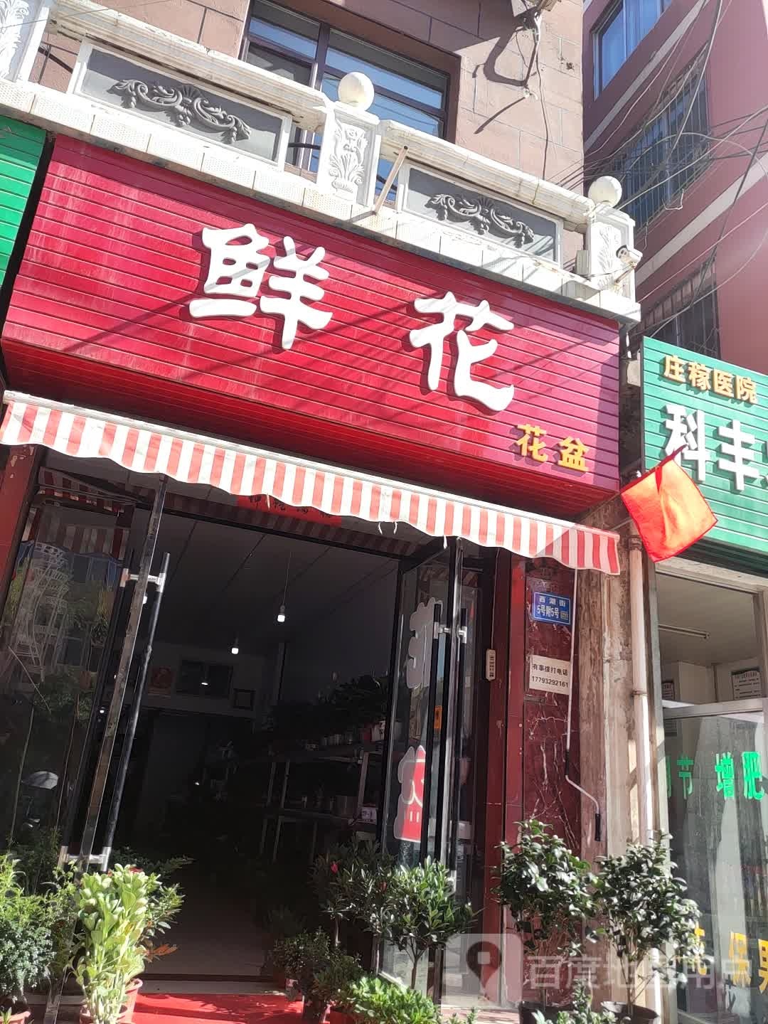 鲜花花盆
