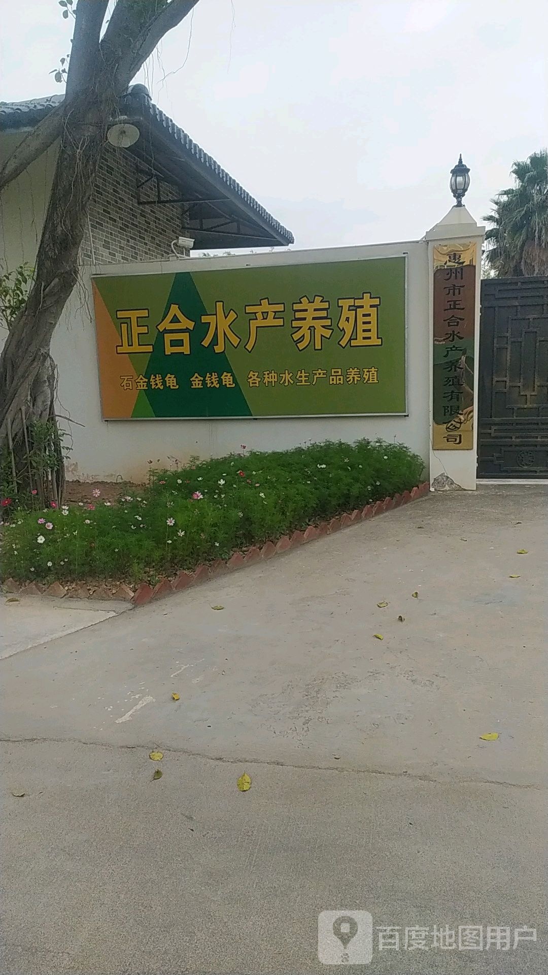 惠州市正合水产养殖有限公司