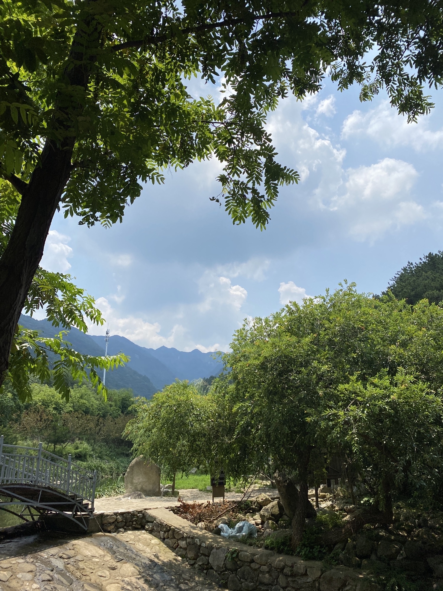 武汉姚家山风景区