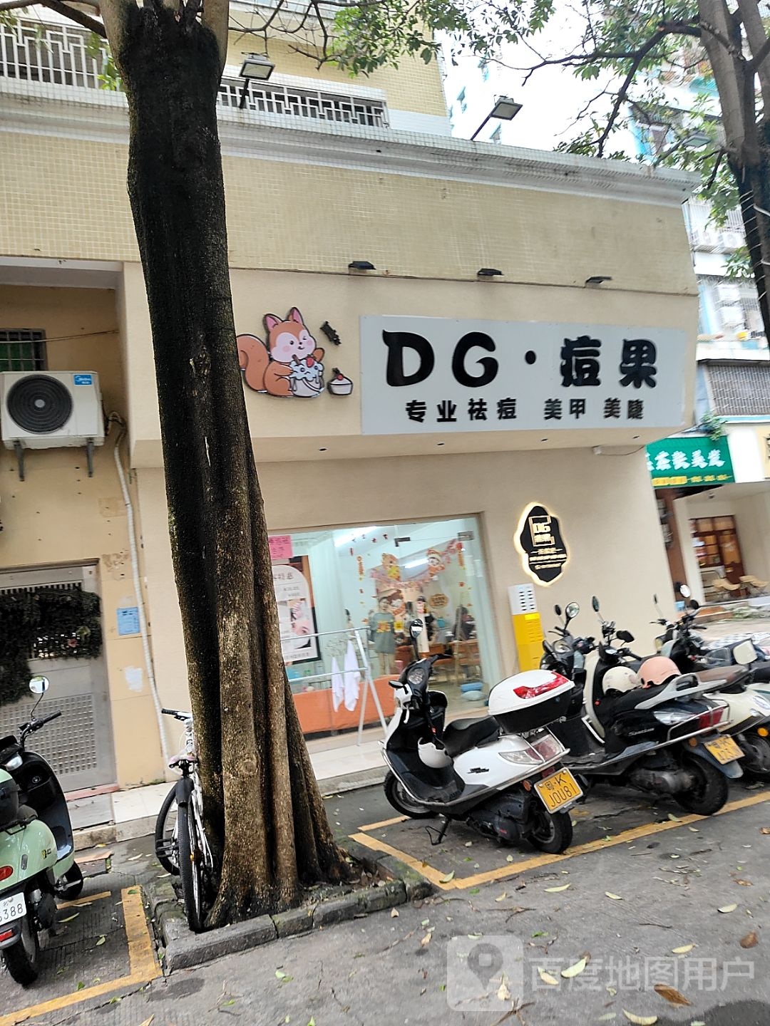 DG·痘果