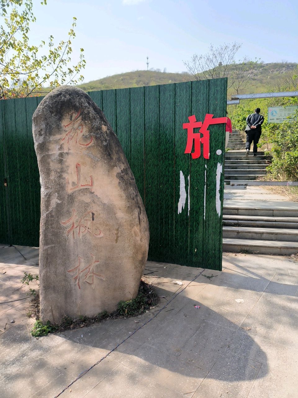 花山枫林
