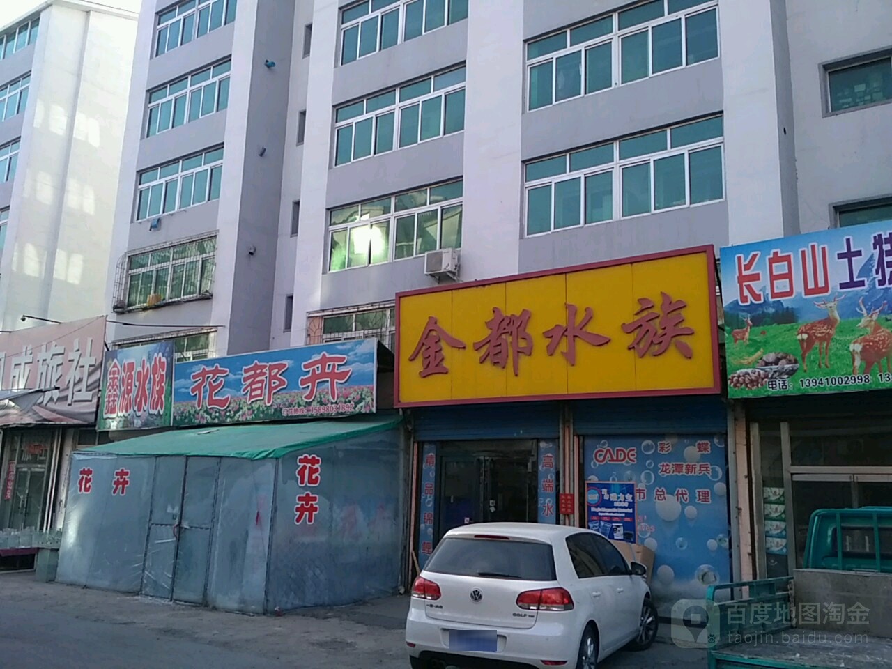 金都水族