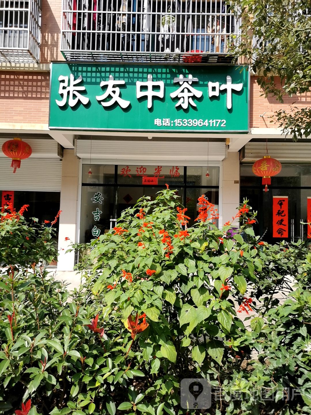 张友中茶叶