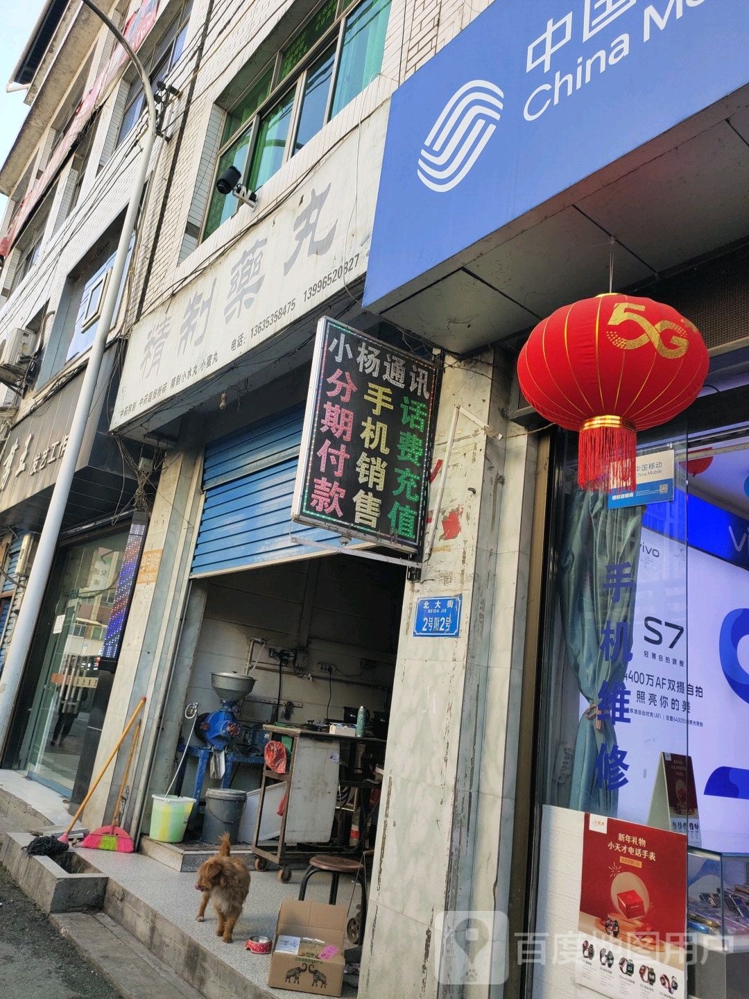 精致药丸