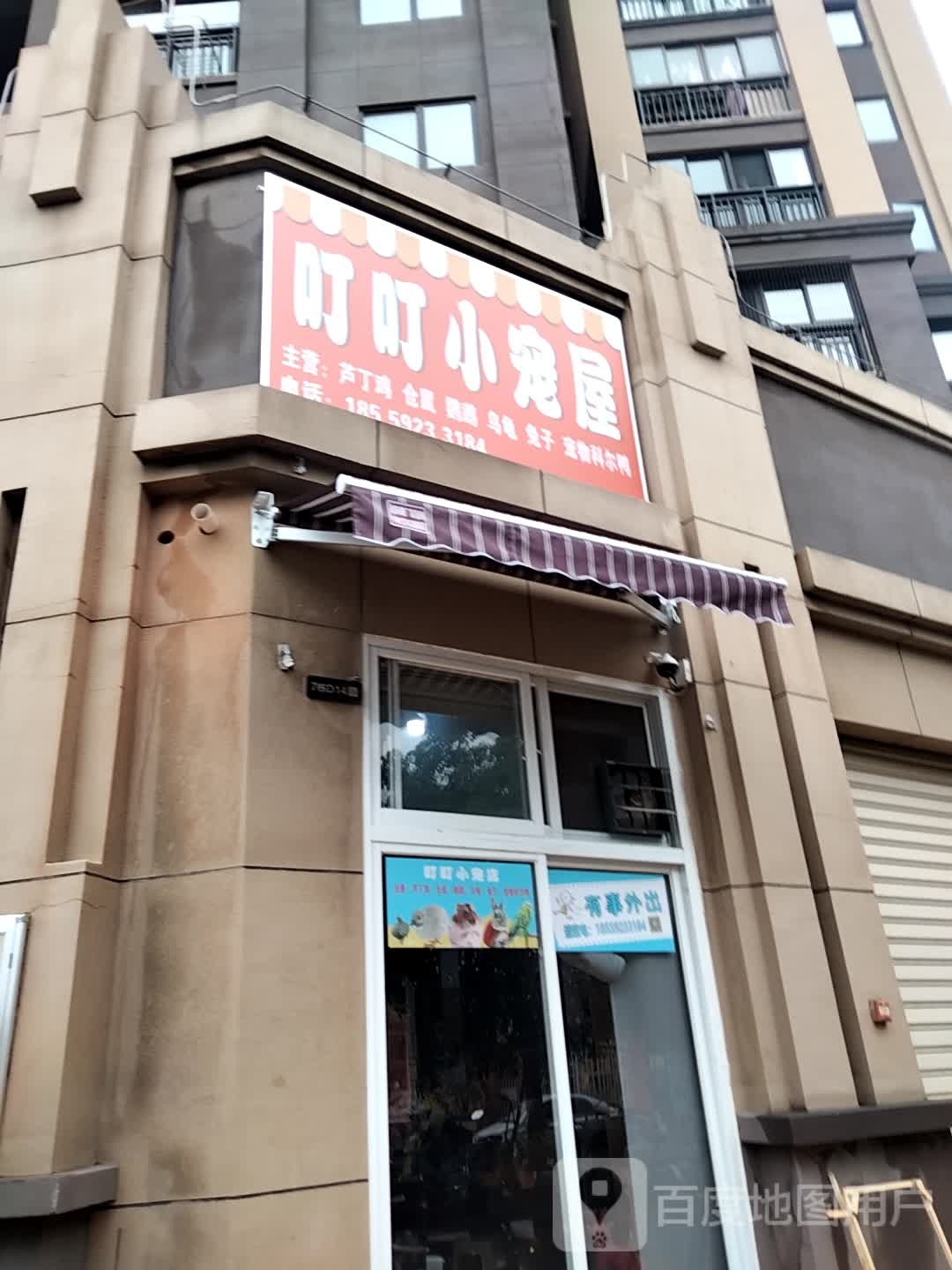 叮叮小宠屋