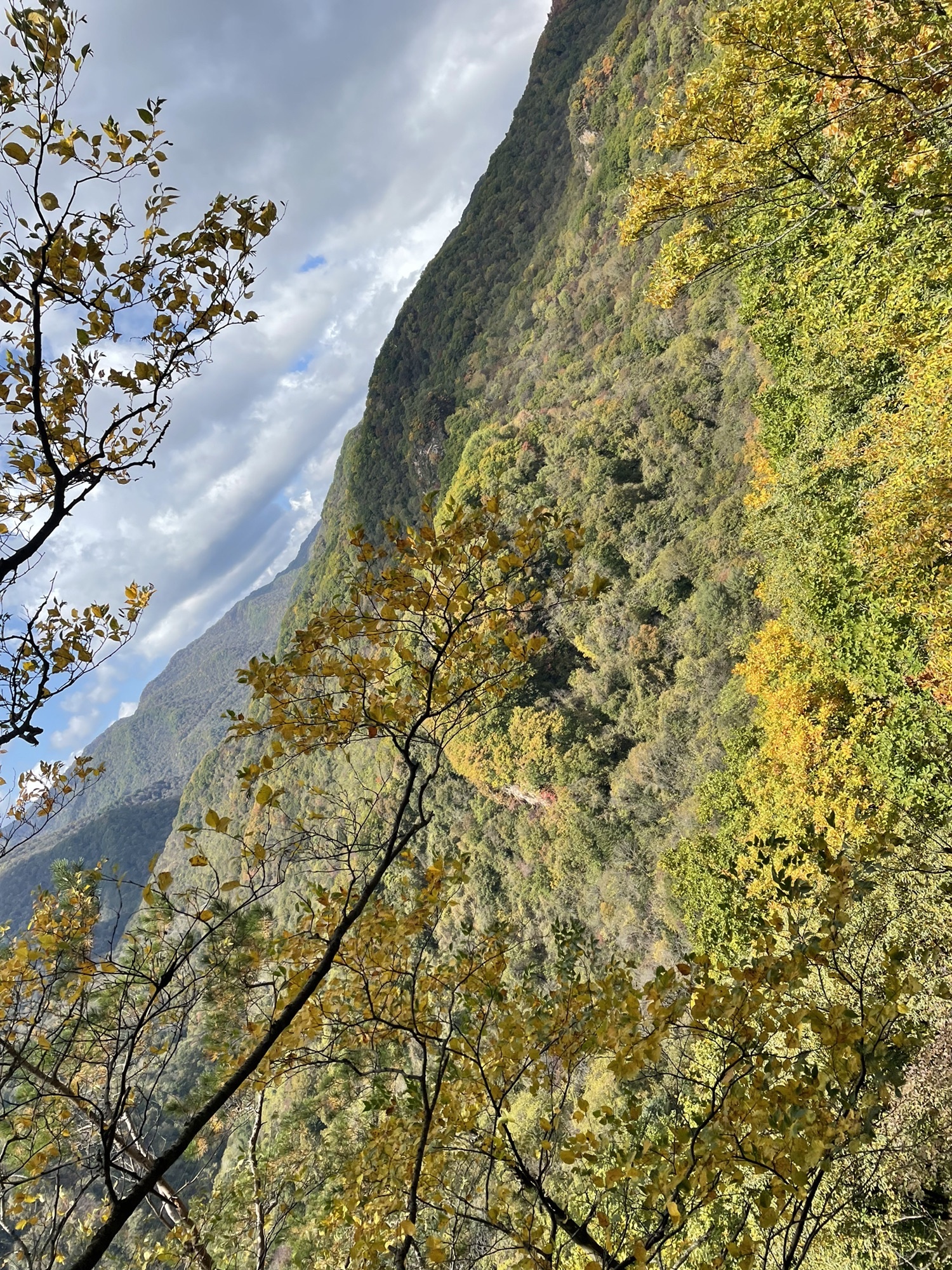 五女峰国家森林公园