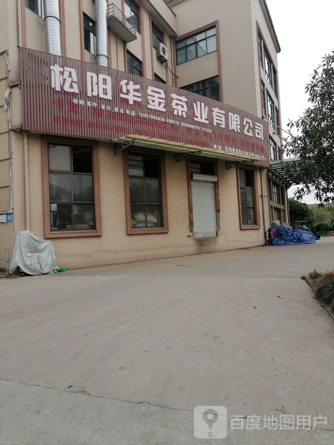 松阳华金茶叶有限公司