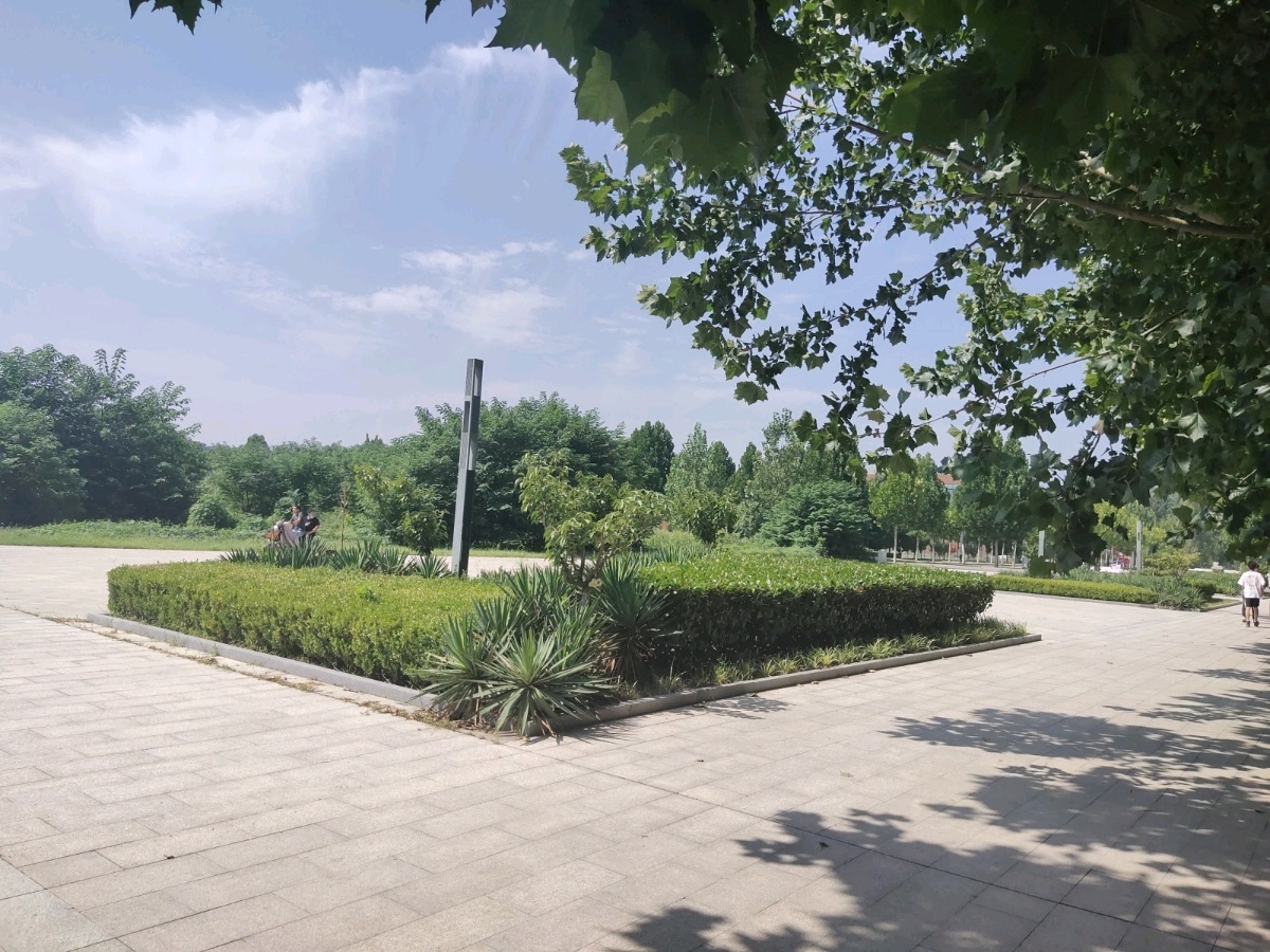 齐鲁工业大学(山东省科学院)菏泽校区-中心湖广场