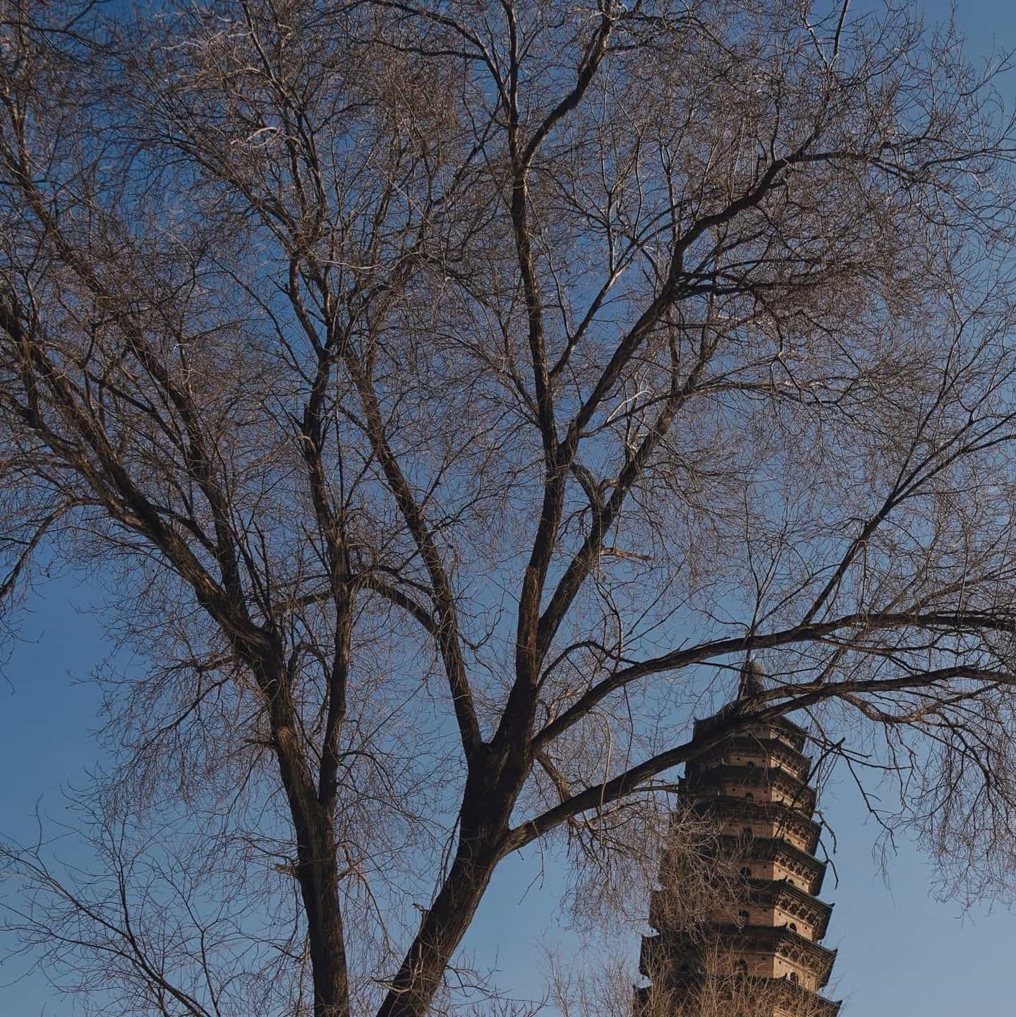 太原双塔寺-双塔博物馆