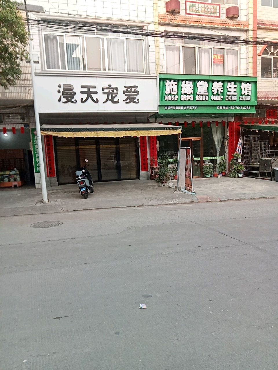漫天宠爱