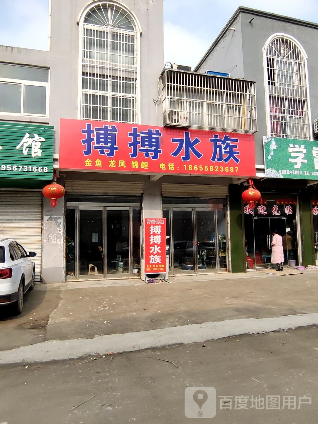 搏搏水族