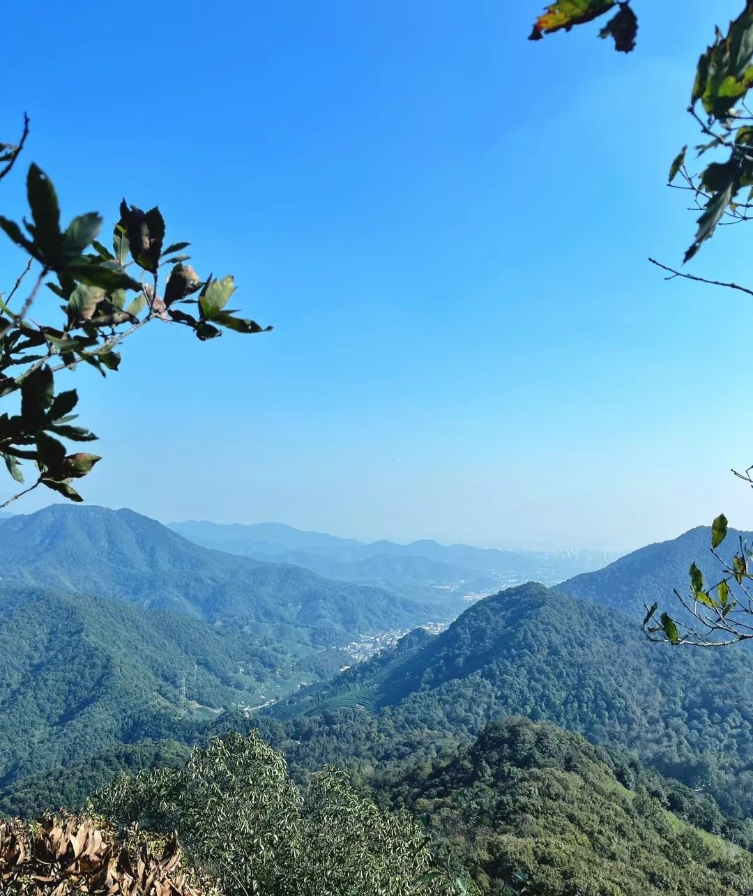 午潮山国家森林公园