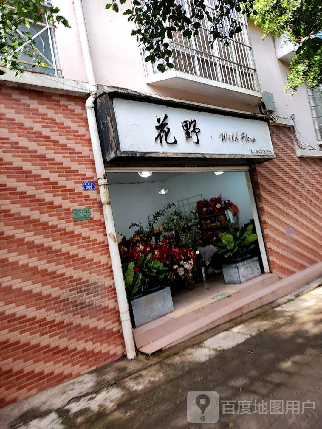 花野