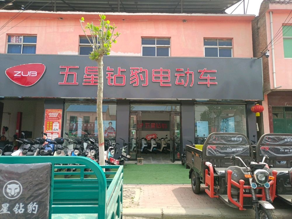 太康县五星钻豹电动车(清集镇店)