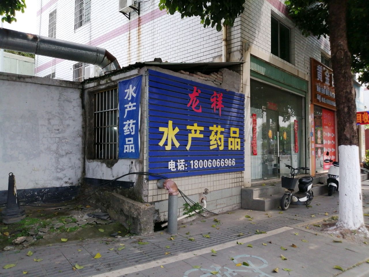 黄金回收(龙江店)