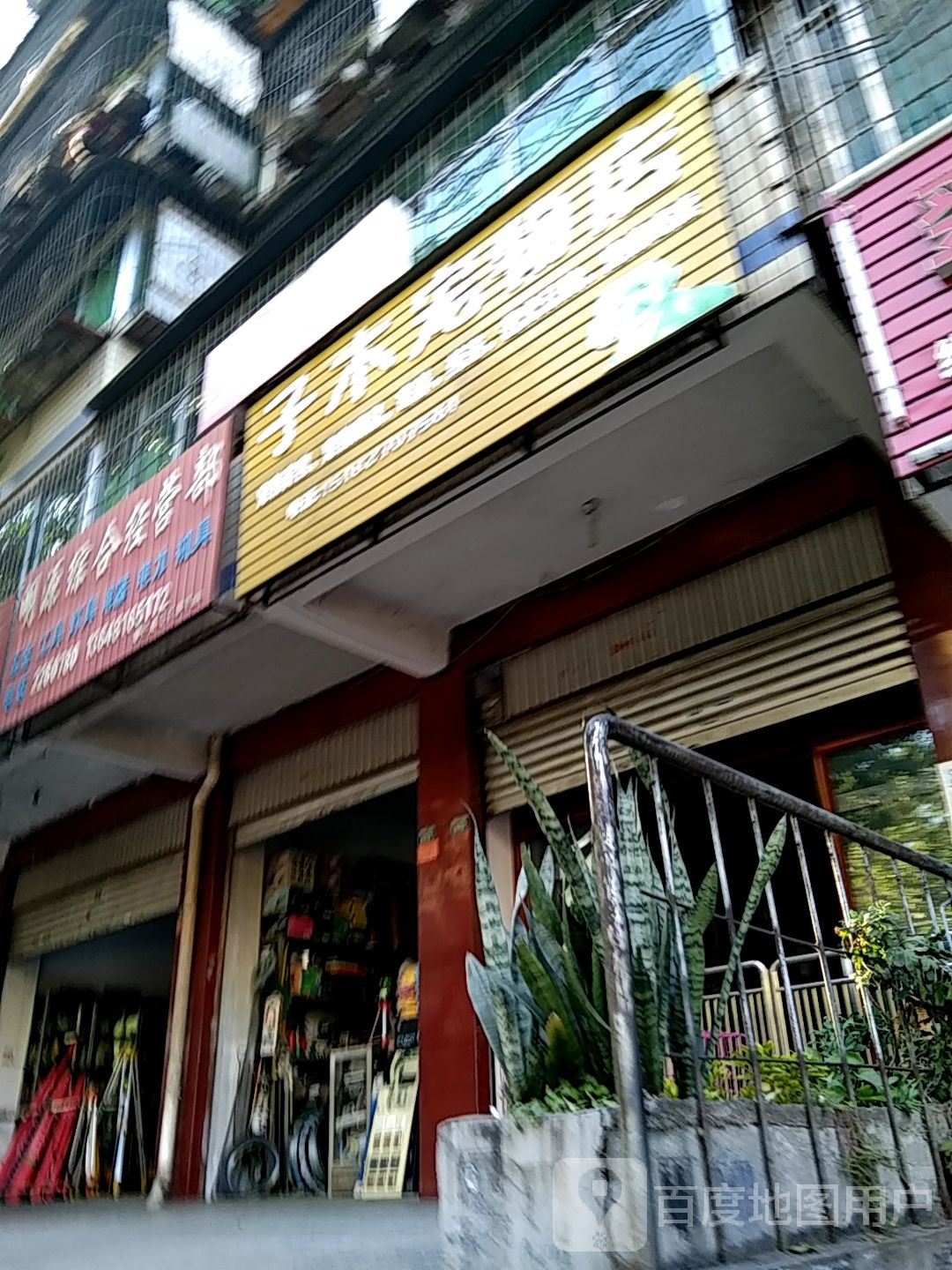 子木宠物店