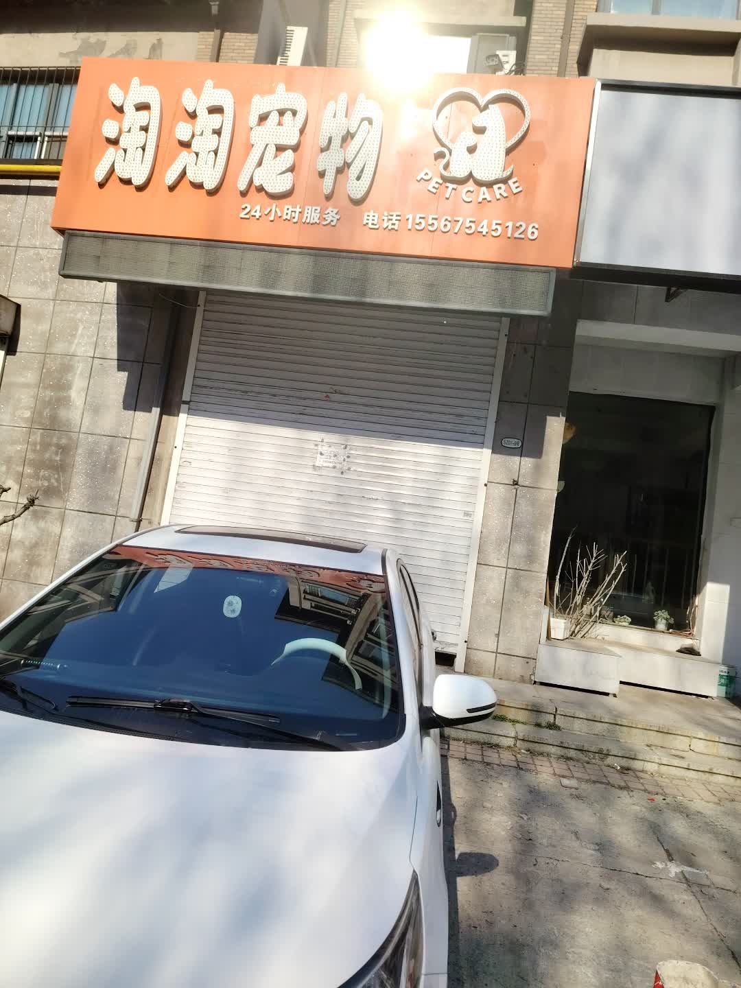 陶陶宠物