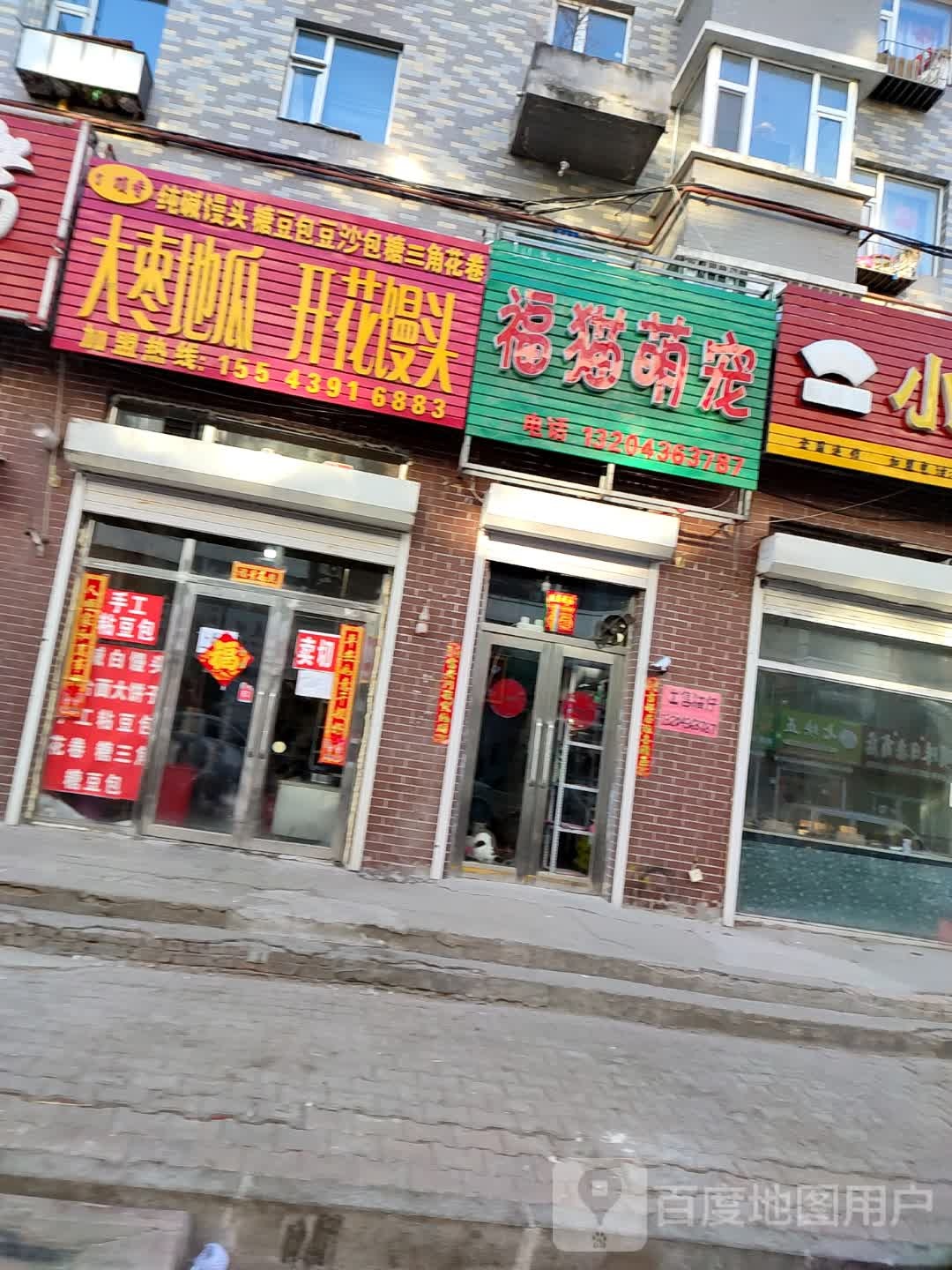 福猫萌宠