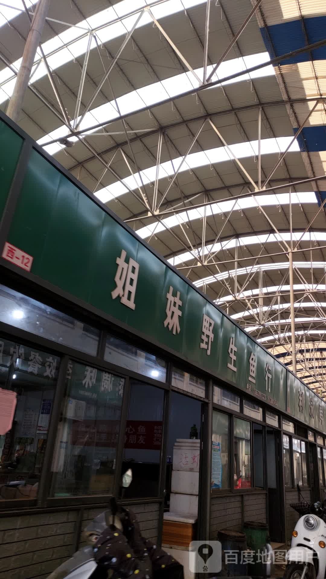 姐妹野生鱼行