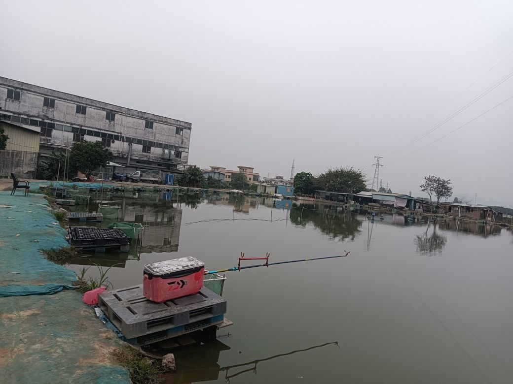 司前立春钓鱼场