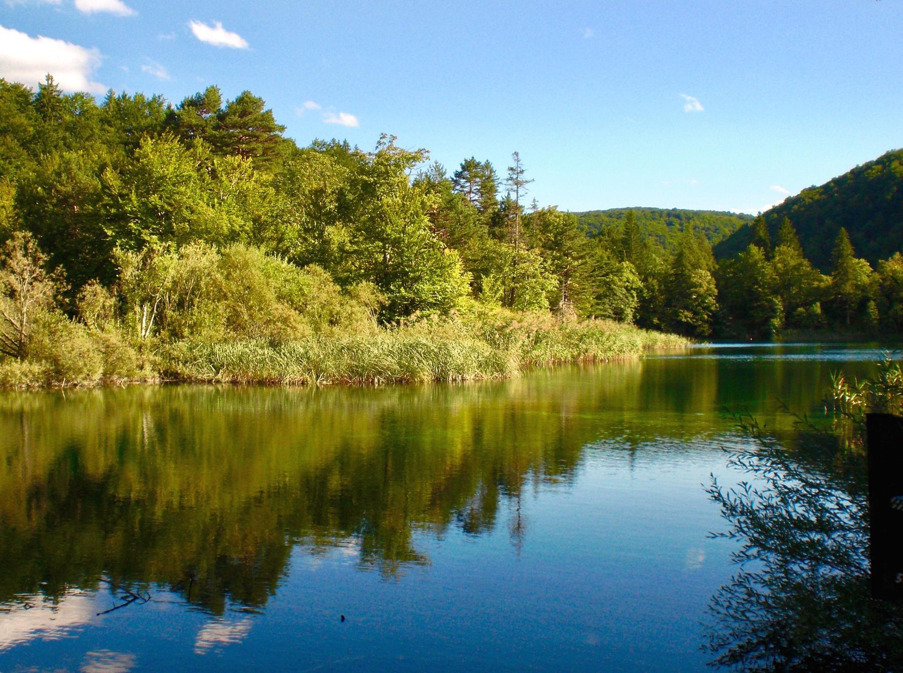 赤水河谷国家级旅游度假区(赤水竹海国家森林公园)