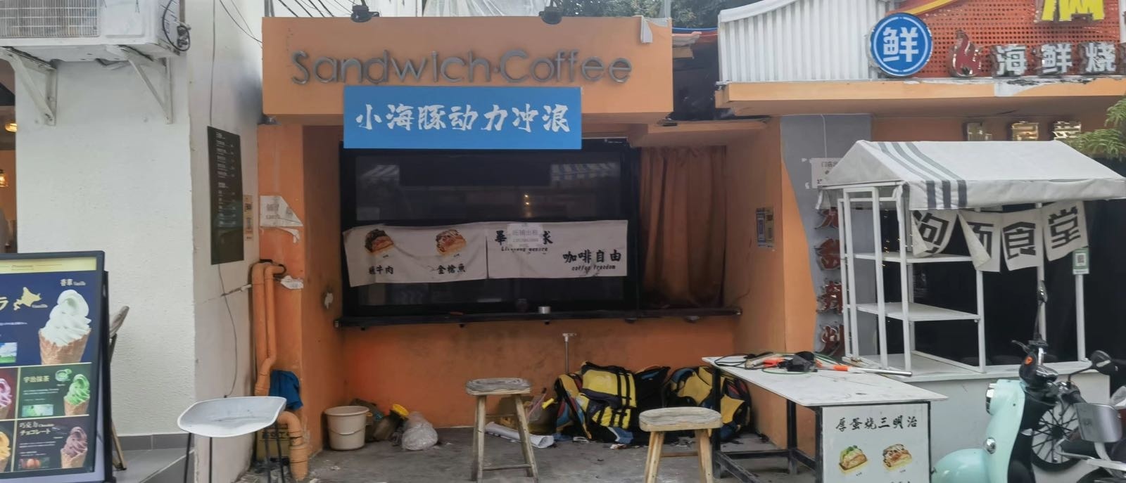 小海豚浮潜冲浪俱乐部