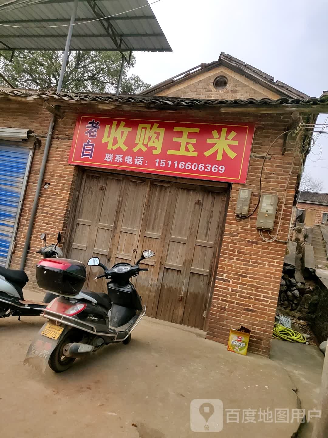老白收购玉米