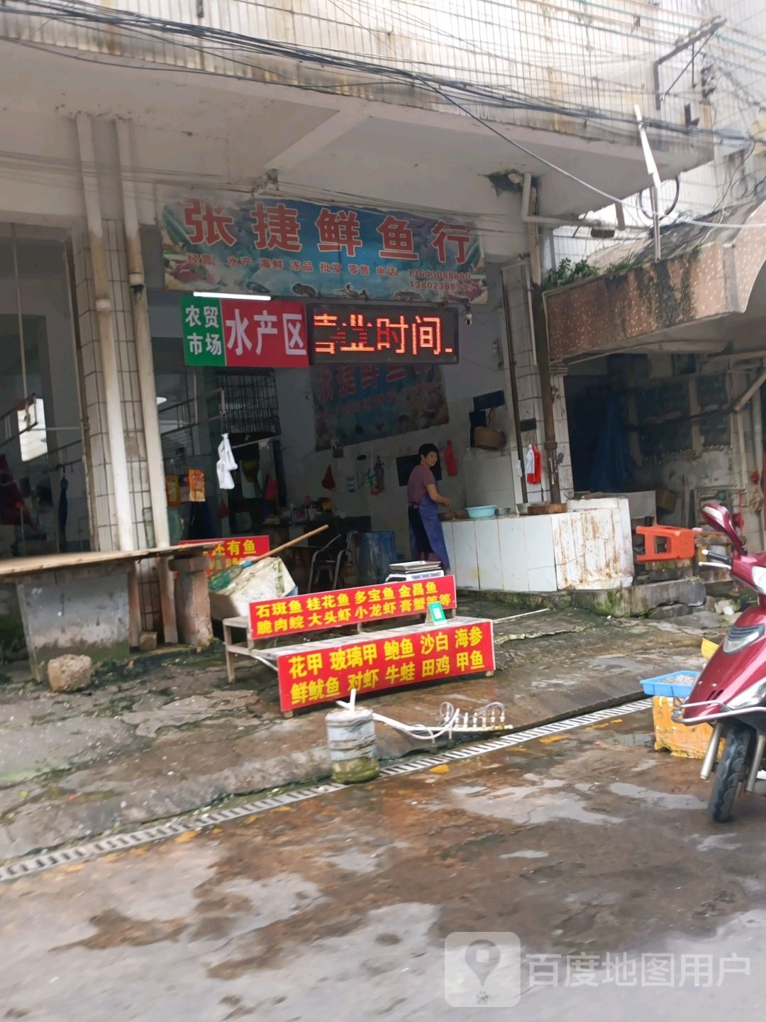 张捷鱼市行