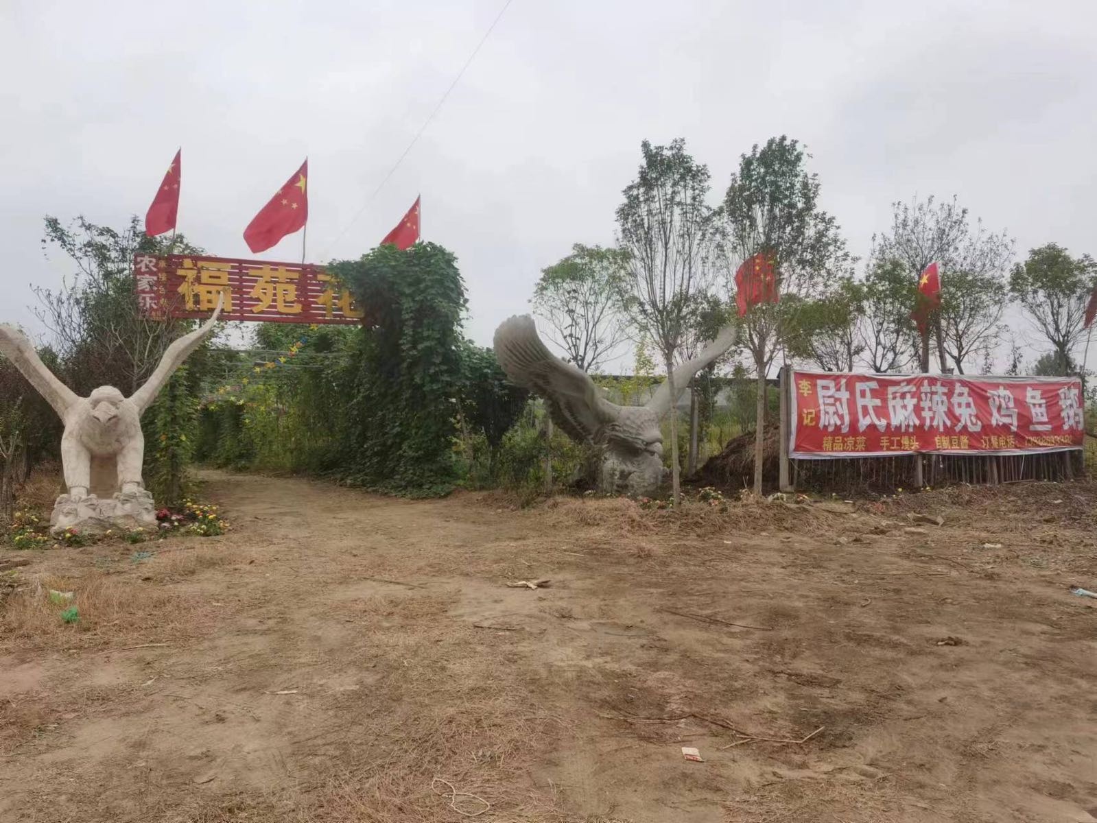 福苑花卉