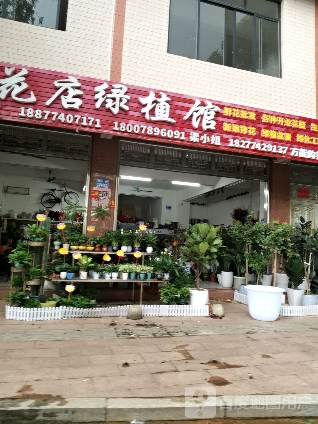 艺馨花店绿植馆(健身公园店)