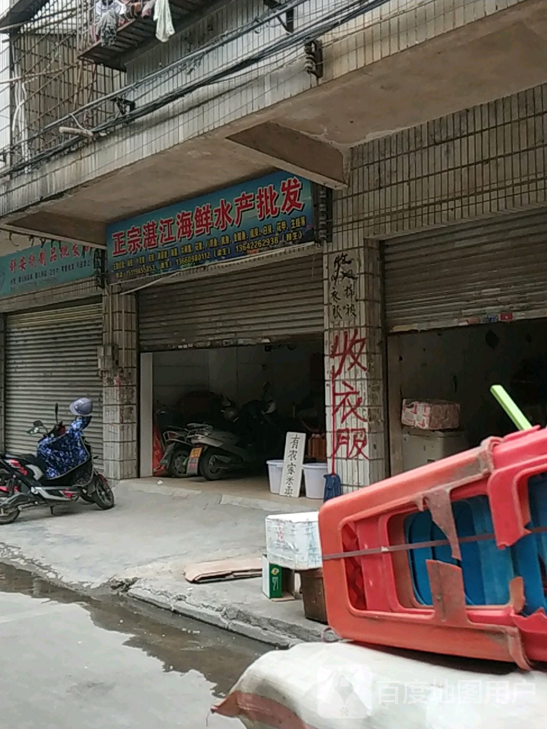 正宗湛江海鲜水产批发