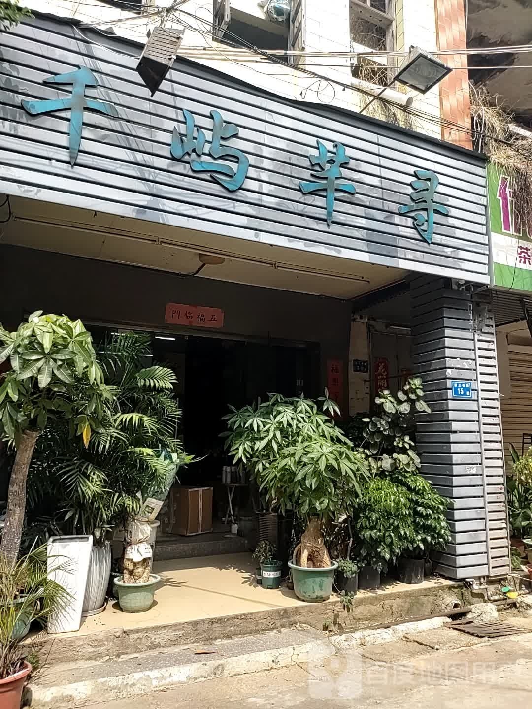 千屿芊寻