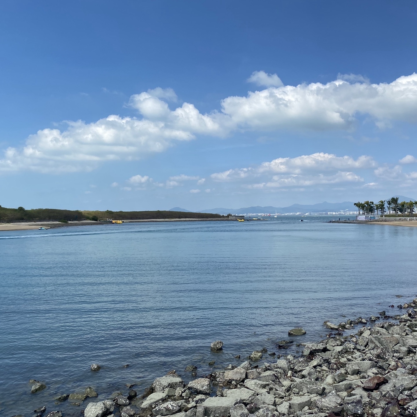 小洲岛复绿公园