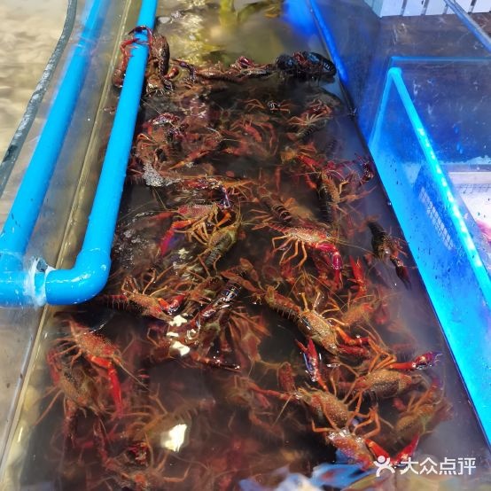 库蒂·鲜切牛肉自(泰森广场店)