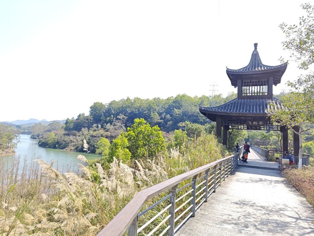 中山市金钟湖碧道-飞鹤亭