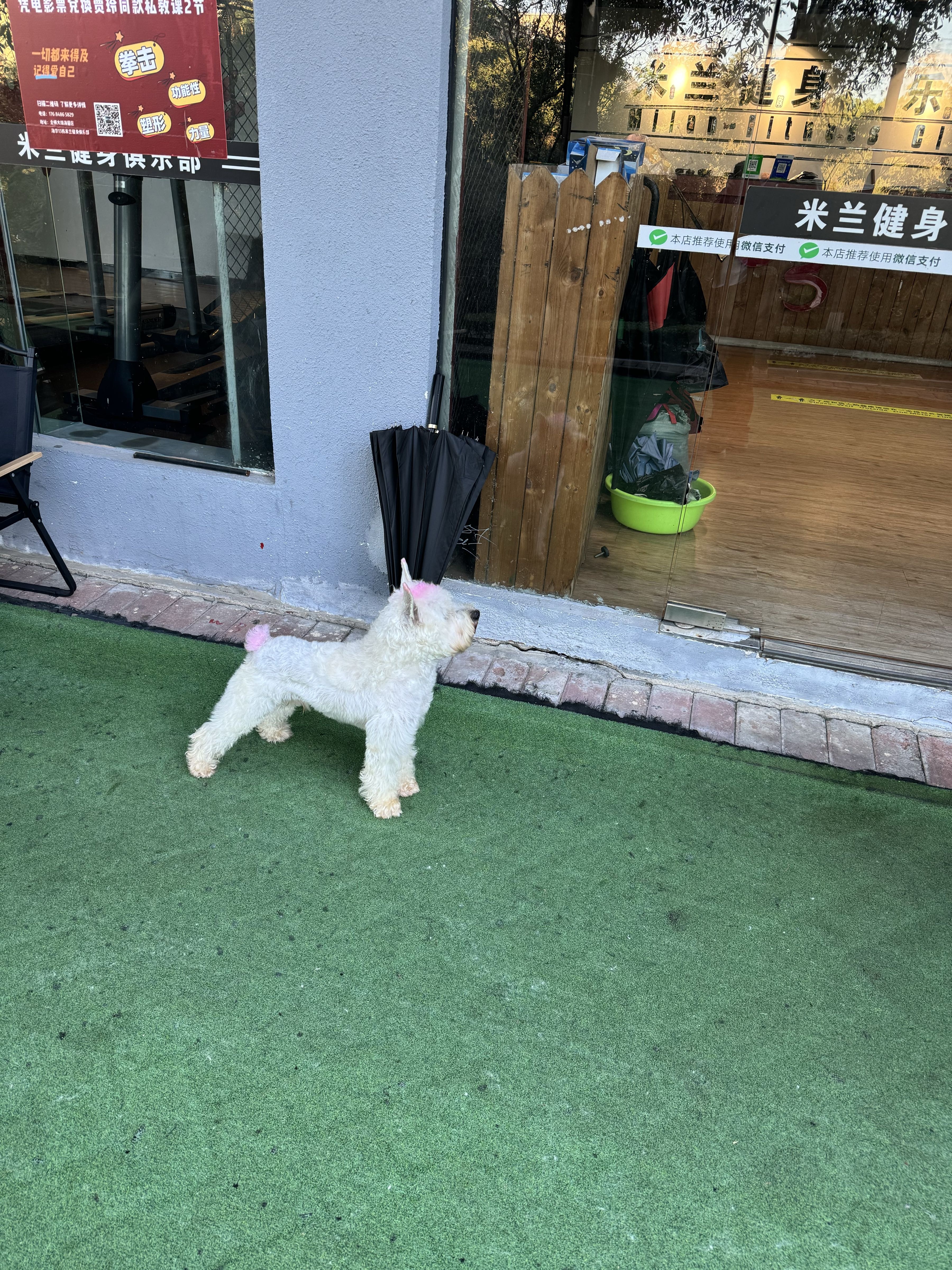 米兰健身俱乐部