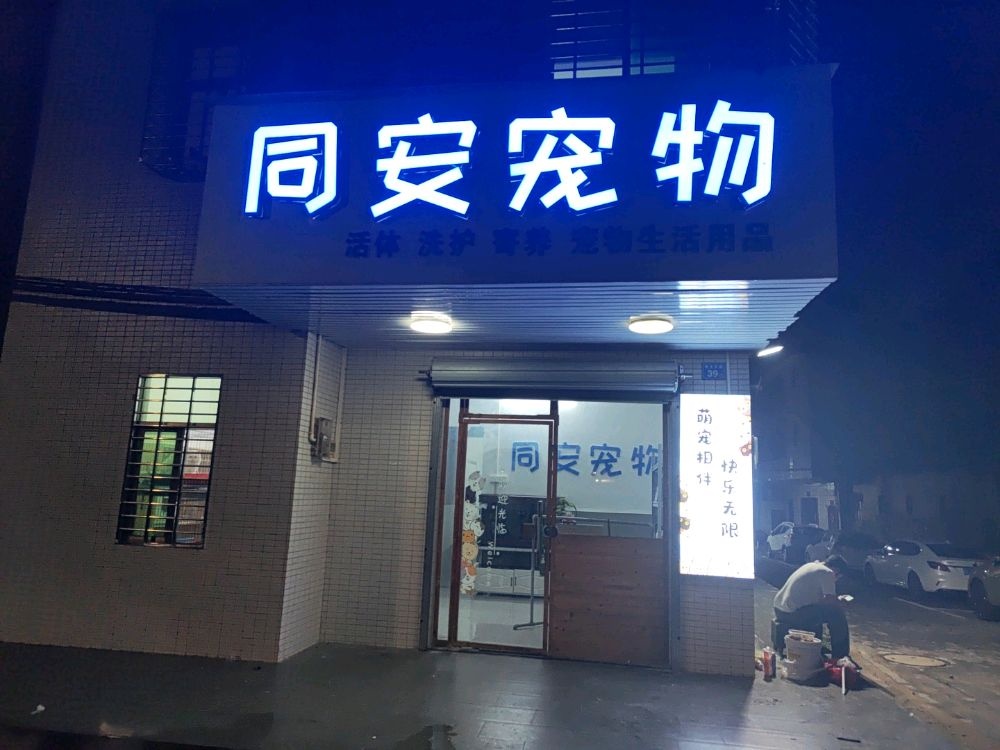 同安宠物