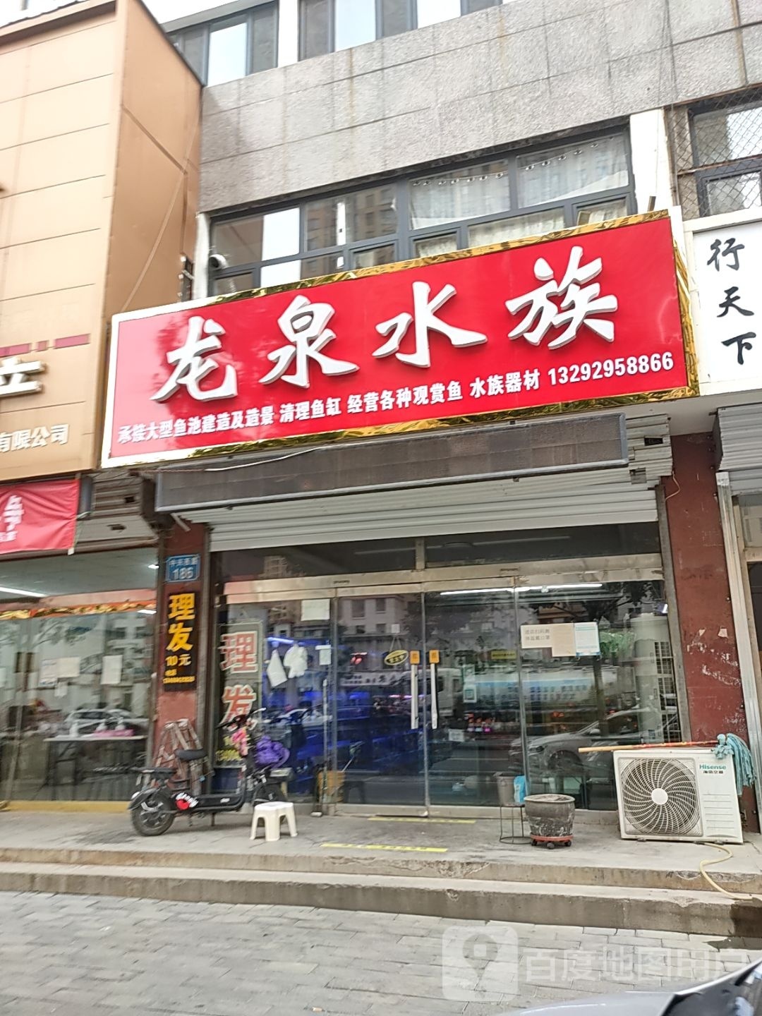 龙泉水族(中山首府店)