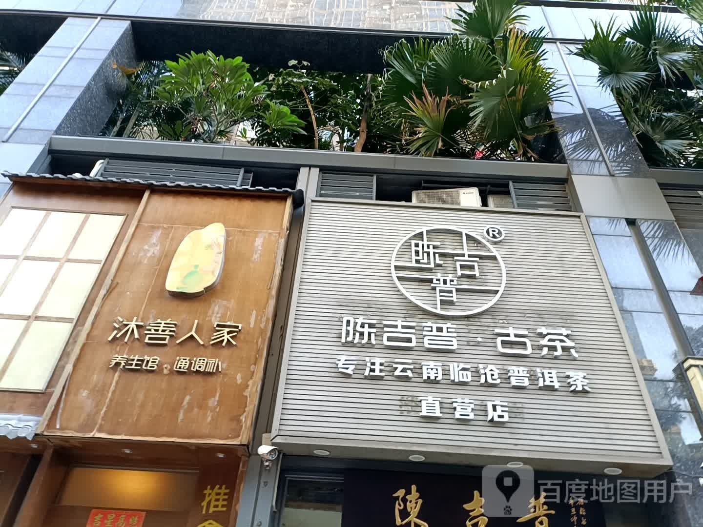 陈吉普古茶