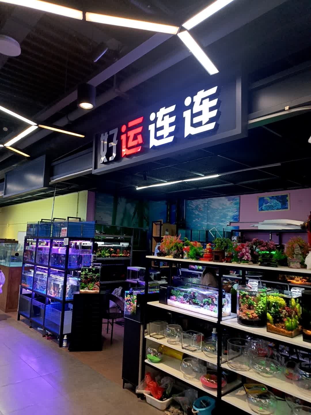 好运连连