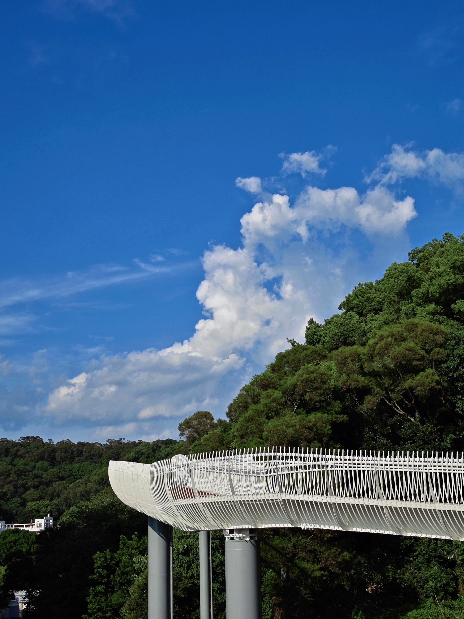 金鸡山公园